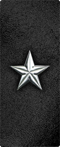 Star Silver-Black